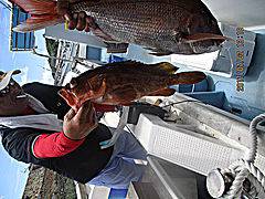 遊漁船 未紗奈 釣果