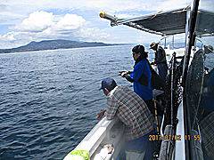 遊漁船 未紗奈 釣果