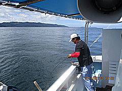 遊漁船 未紗奈 釣果