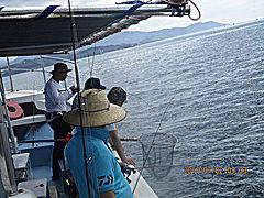 遊漁船 未紗奈 釣果