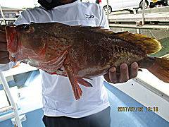 遊漁船 未紗奈 釣果