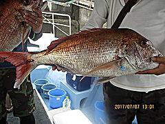 遊漁船 未紗奈 釣果