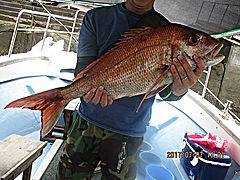 遊漁船 未紗奈 釣果