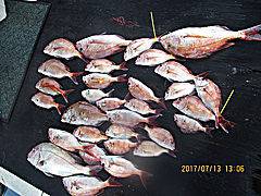 遊漁船 未紗奈 釣果