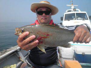 美咲丸 釣果