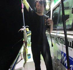 ジギング船 BLUEWATER 釣果