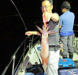 ジギング船 BLUEWATER 釣果