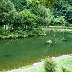 朽木渓流魚センタールアーフィールド。