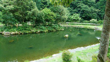 朽木渓流魚センタールアーフィールド。