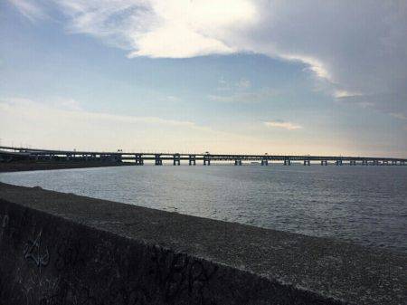 七夕りんくうアジ調査