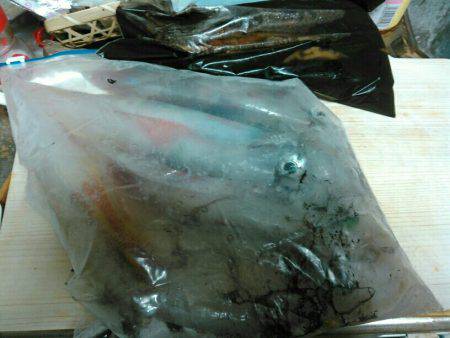 メタルが流される