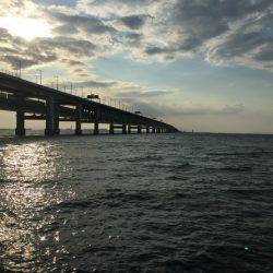 アジを狙いに！