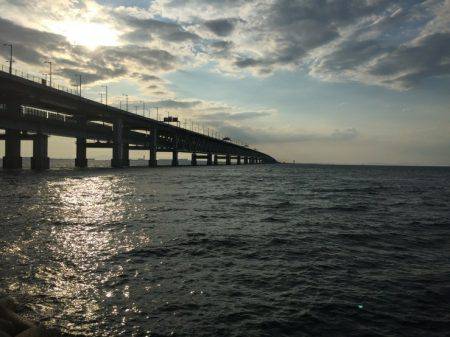 アジを狙いに！