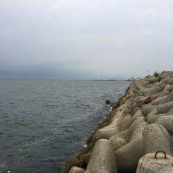 アジを狙いに！