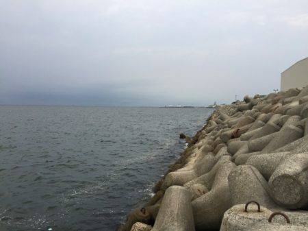 アジを狙いに！