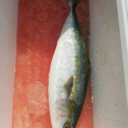 ショアジギング