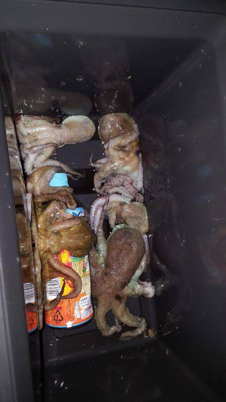 オクトパッシング‼part2