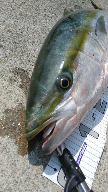 神戸渡船さんにて