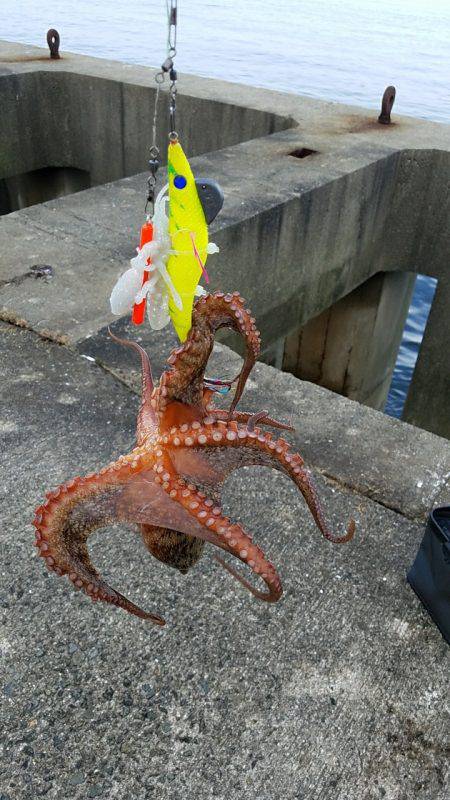 オクトパッシング