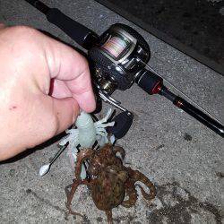 タっこでぇ〰すぅ‼