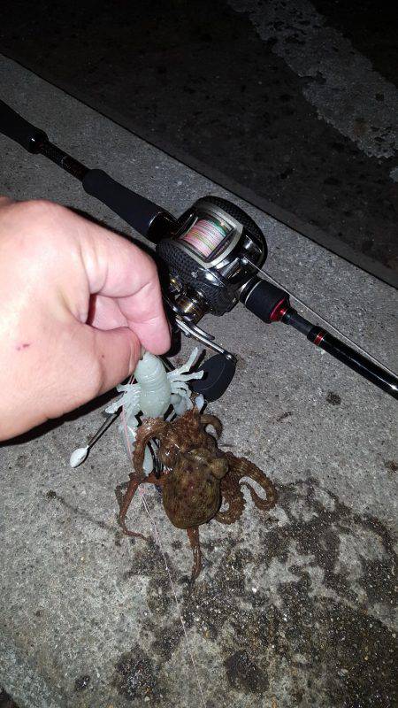 タっこでぇ〰すぅ‼