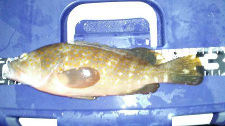 あと2cmとどかない