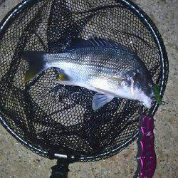 短時間チニング