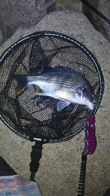 短時間チニング