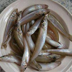 ファミリーキャンプ！