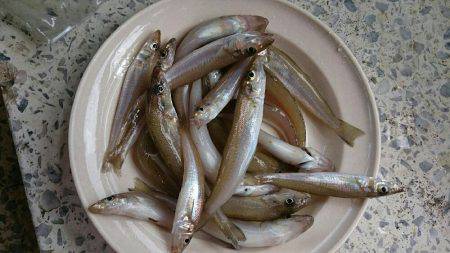 ファミリーキャンプ！