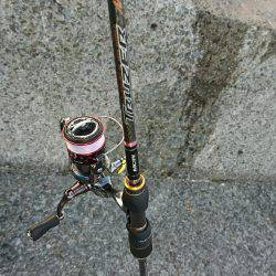 七夕フィッシング！ 願い事叶うのか！？