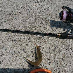 淡路島でキスゲーム