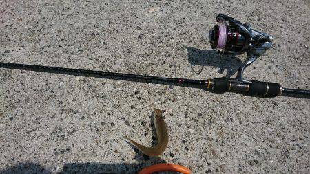 淡路島でキスゲーム