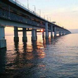 りんくうアジ調査