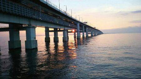 りんくうアジ調査