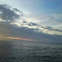 ジグサビキに挑戦