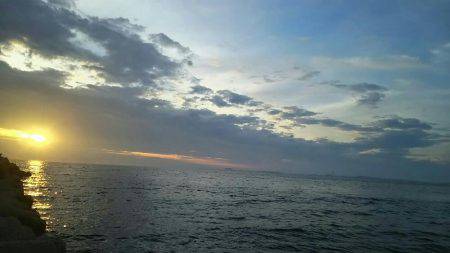 ジグサビキに挑戦