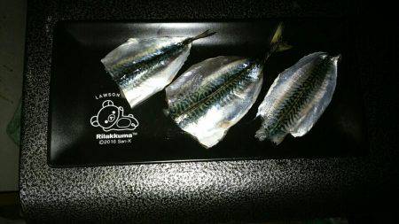 極旨！活け締め子サバの刺身！