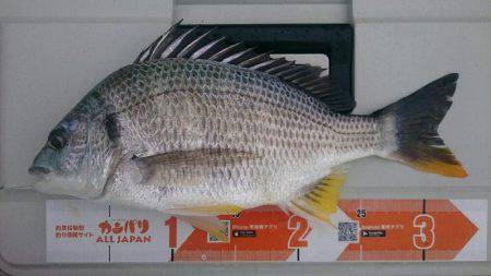 キス釣りしてたら…