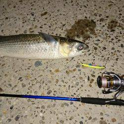 加古川潮止め~ケーソン付近