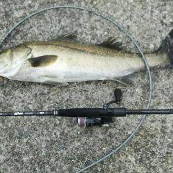 荒れ後の1発狙い