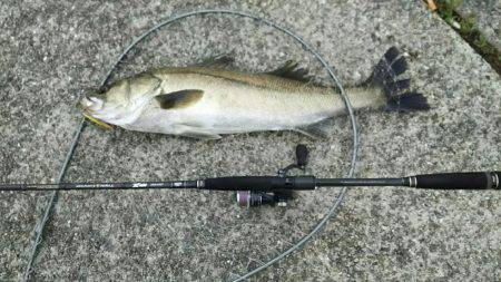 荒れ後の1発狙い