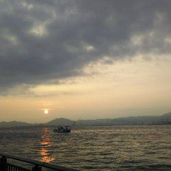 夏タチウオ調査