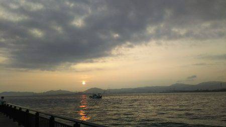 夏タチウオ調査