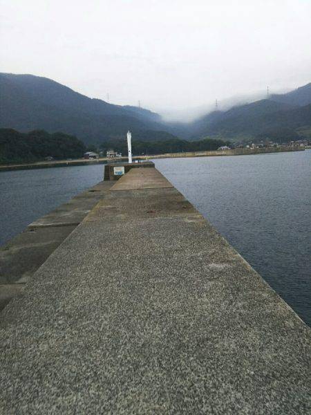 海水浴の前に釣り