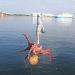 色々サンデーフィッシング