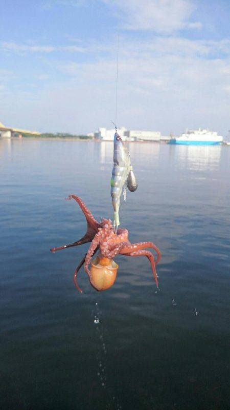 色々サンデーフィッシング