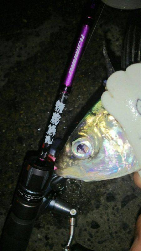 放置styleアジング(笑)