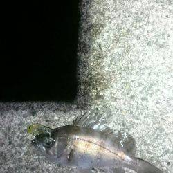 アタリはあるが。