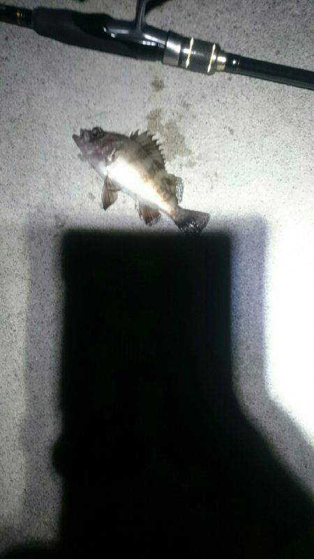 暑い。かなり暑い。